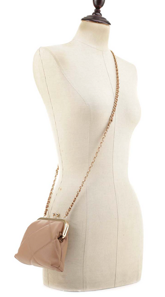 Kissing Clasp Evening Bag